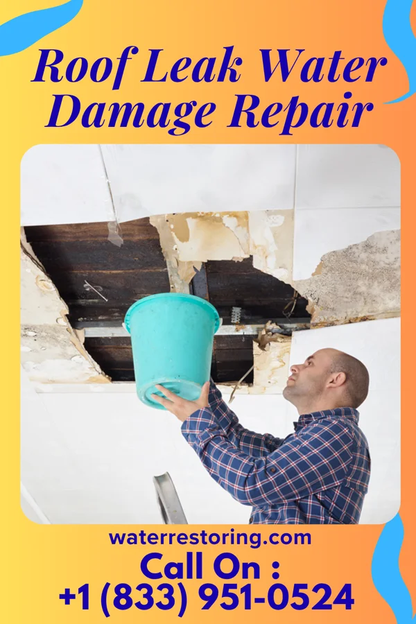 Roof Leak Water Damage Repair in Randolph, KS